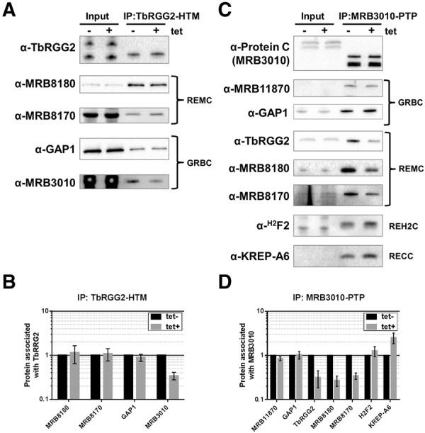 https://cdn.ncbi.nlm.nih.gov/pmc/blobs/be3e/5855954/695dd9e625c7/540f06.jpg
