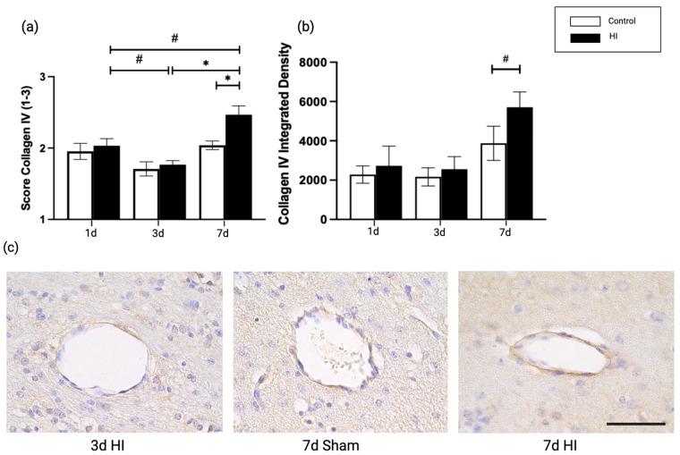 https://cdn.ncbi.nlm.nih.gov/pmc/blobs/be3f/10054605/04d07b81d44f/ijms-24-05929-g003.jpg