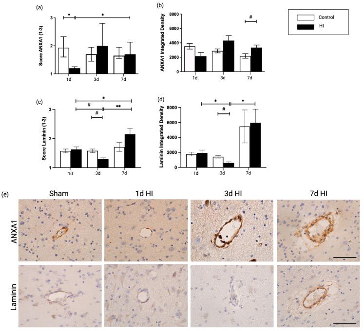 https://cdn.ncbi.nlm.nih.gov/pmc/blobs/be3f/10054605/346f1a183f0a/ijms-24-05929-g002.jpg