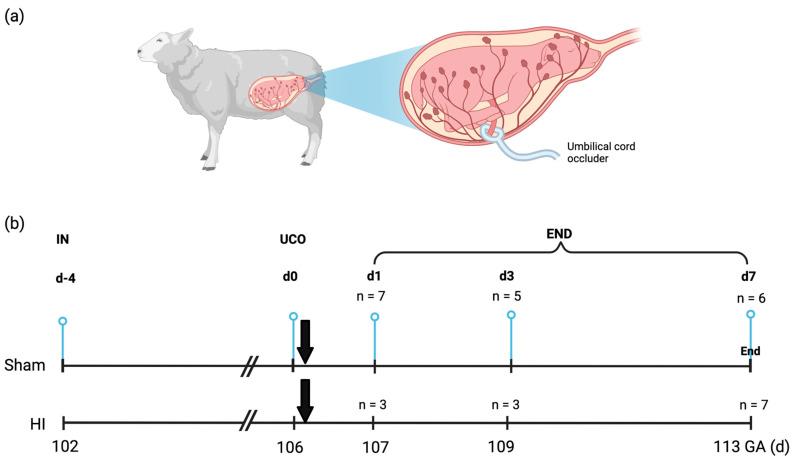 https://cdn.ncbi.nlm.nih.gov/pmc/blobs/be3f/10054605/5c63b3924c98/ijms-24-05929-g005.jpg