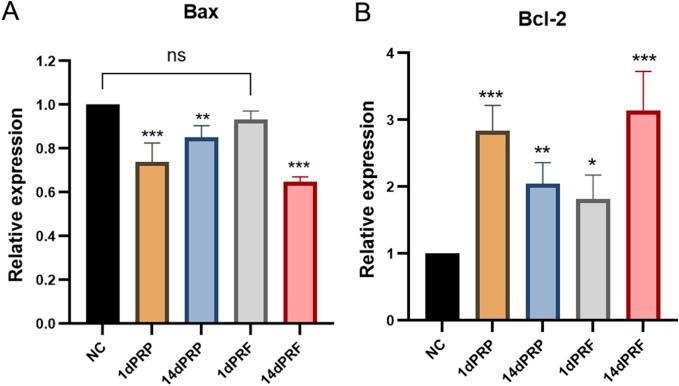 https://cdn.ncbi.nlm.nih.gov/pmc/blobs/be3f/11405248/e21ab5f9103c/fcell-12-1445928-g005.jpg