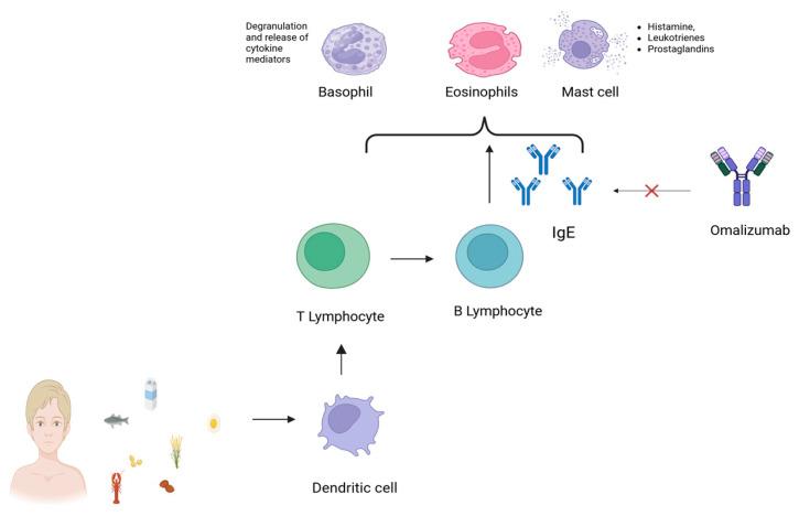 https://cdn.ncbi.nlm.nih.gov/pmc/blobs/be42/12113005/532c7746f959/life-15-00681-g001.jpg
