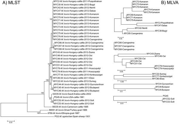 https://cdn.ncbi.nlm.nih.gov/pmc/blobs/be42/4019563/eaf319aa8877/1746-6148-10-108-3.jpg