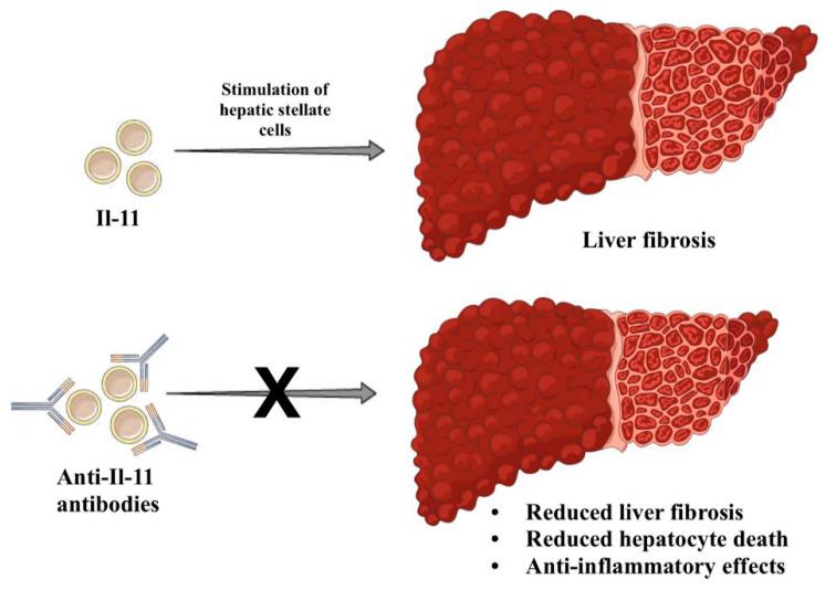 https://cdn.ncbi.nlm.nih.gov/pmc/blobs/be47/11395474/5c7fa429bdd3/ijms-25-09522-g003.jpg