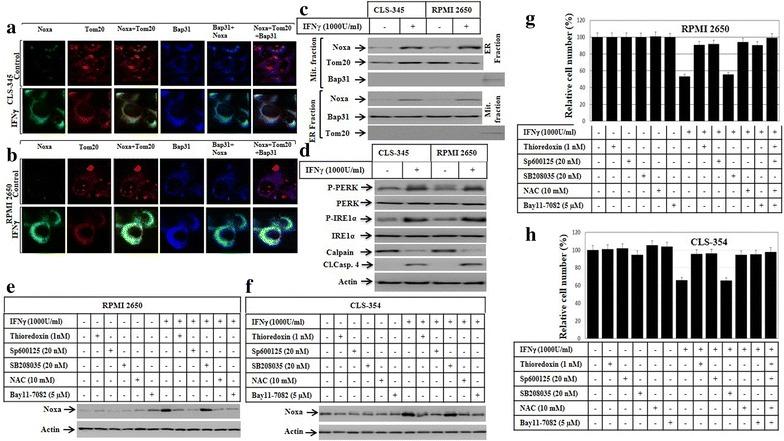 https://cdn.ncbi.nlm.nih.gov/pmc/blobs/be47/4969639/0137a7495e19/13008_2016_23_Fig6_HTML.jpg