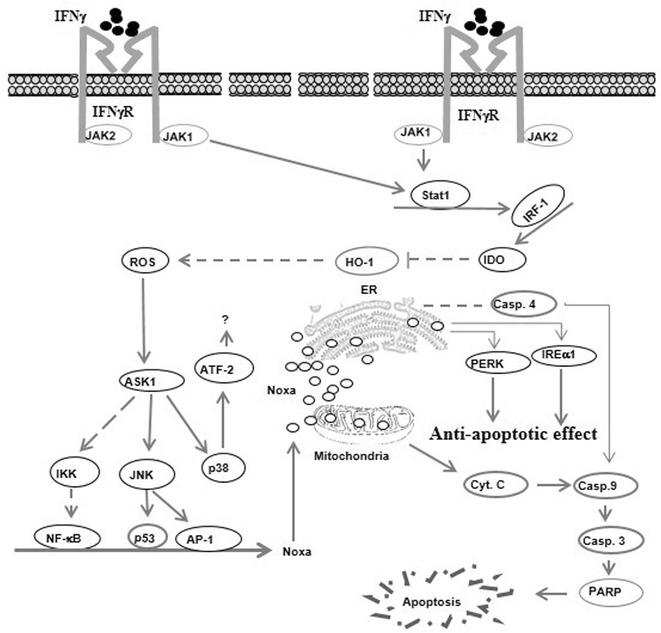 https://cdn.ncbi.nlm.nih.gov/pmc/blobs/be47/4969639/103b41102a4b/13008_2016_23_Fig7_HTML.jpg
