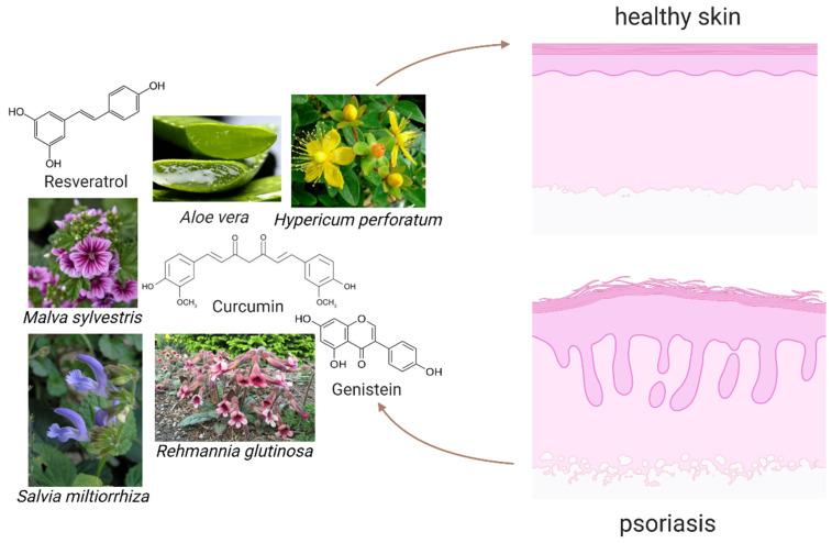 https://cdn.ncbi.nlm.nih.gov/pmc/blobs/be48/8839811/4c20a23f25db/molecules-27-00591-g002.jpg