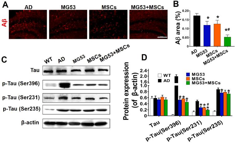 https://cdn.ncbi.nlm.nih.gov/pmc/blobs/be48/9079718/af3a49ebd252/gr6.jpg