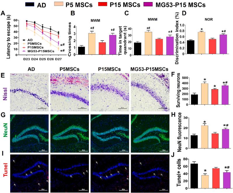 https://cdn.ncbi.nlm.nih.gov/pmc/blobs/be48/9079718/b927164c9e1b/gr4.jpg