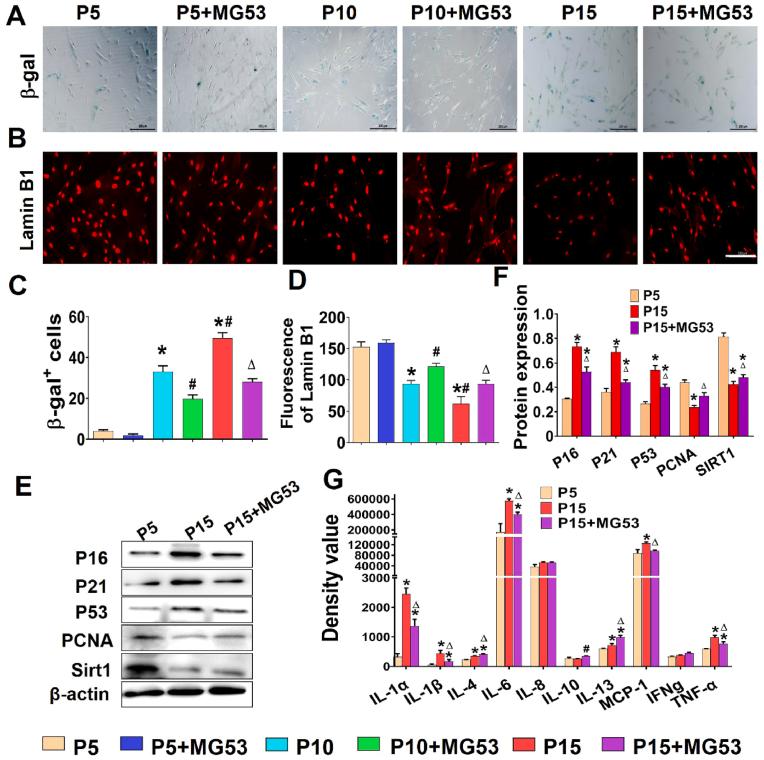 https://cdn.ncbi.nlm.nih.gov/pmc/blobs/be48/9079718/ba9377ed9f96/gr2.jpg