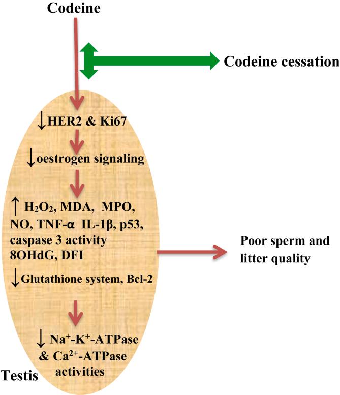 https://cdn.ncbi.nlm.nih.gov/pmc/blobs/be49/7695972/5ee99ba02264/gr9.jpg