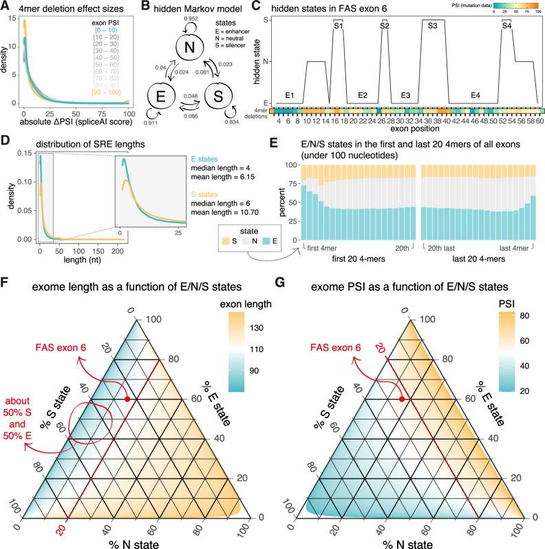 https://cdn.ncbi.nlm.nih.gov/pmc/blobs/be4b/12398528/aaa227cbeaa7/41467_2025_62957_Fig6_HTML.jpg
