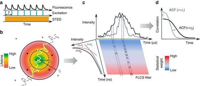 https://cdn.ncbi.nlm.nih.gov/pmc/blobs/be4f/5500520/e1aa2f774b75/41467_2017_117_Fig1_HTML.jpg