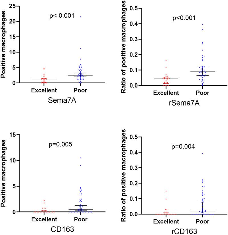https://cdn.ncbi.nlm.nih.gov/pmc/blobs/be50/10875813/1f9401e7da23/12883_2024_3559_Fig6_HTML.jpg