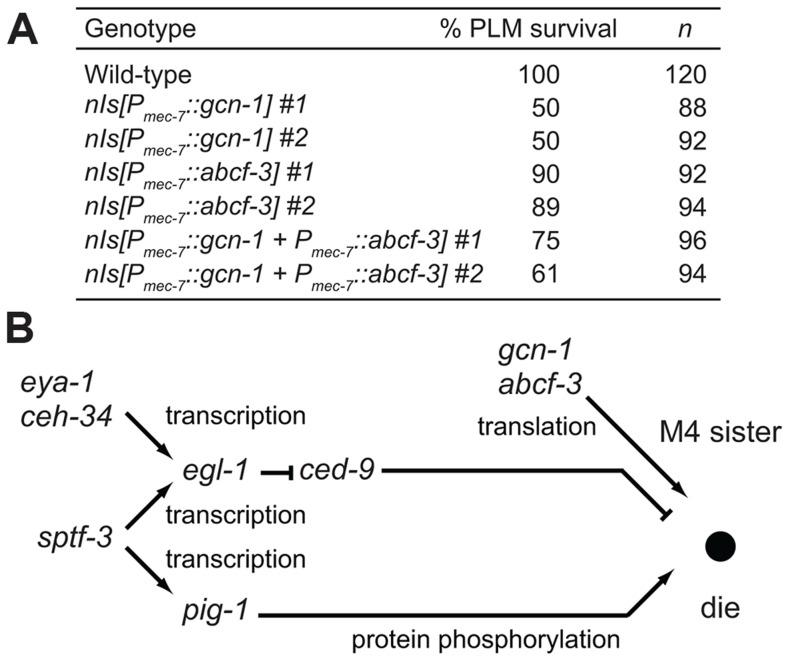 https://cdn.ncbi.nlm.nih.gov/pmc/blobs/be52/4125083/f3c8020cb390/pgen.1004512.g005.jpg