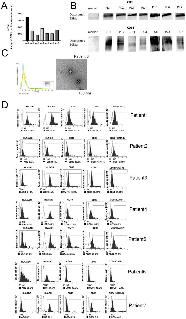 https://cdn.ncbi.nlm.nih.gov/pmc/blobs/be54/12127191/92717a112dd5/fimmu-16-1565696-g001.jpg