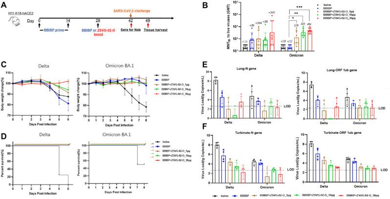 https://cdn.ncbi.nlm.nih.gov/pmc/blobs/be54/9985518/f735473c76d5/gr5_lrg.jpg