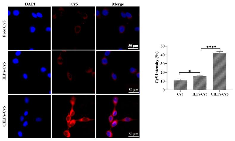https://cdn.ncbi.nlm.nih.gov/pmc/blobs/be55/10095745/22671579a46c/molecules-28-03147-g002.jpg