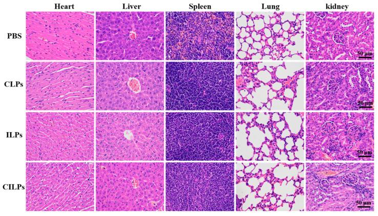 https://cdn.ncbi.nlm.nih.gov/pmc/blobs/be55/10095745/faca6e4cf983/molecules-28-03147-g008.jpg