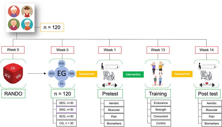 https://cdn.ncbi.nlm.nih.gov/pmc/blobs/be55/10724883/ef039560679d/12877_2023_4544_Fig1_HTML.jpg