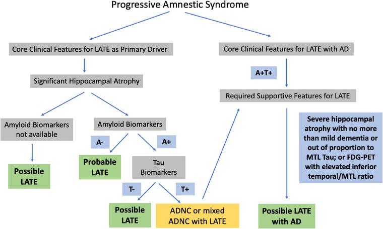 https://cdn.ncbi.nlm.nih.gov/pmc/blobs/be56/11772733/87b27ba55603/ALZ-21-e14202-g001.jpg