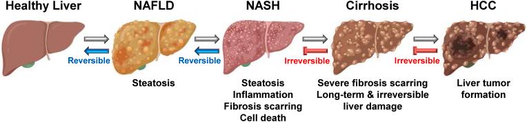 https://cdn.ncbi.nlm.nih.gov/pmc/blobs/be57/10920004/04f2965ecd1e/gr1.jpg