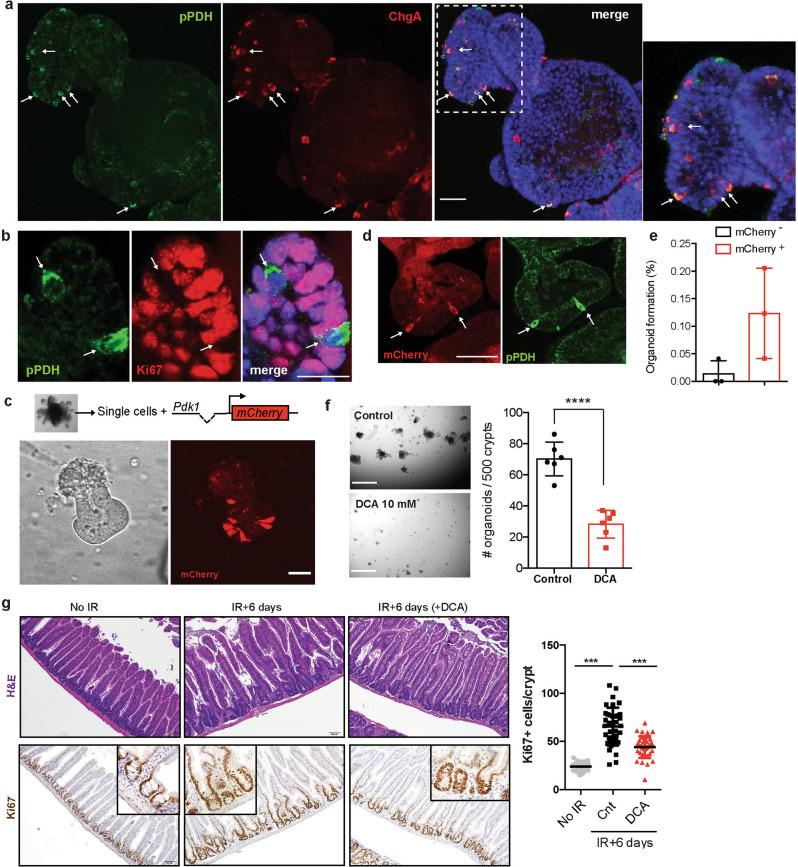 https://cdn.ncbi.nlm.nih.gov/pmc/blobs/be58/8938512/7b5ba10d48dd/41467_2022_29085_Fig3_HTML.jpg