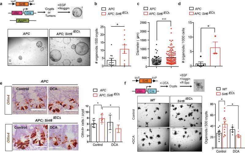 https://cdn.ncbi.nlm.nih.gov/pmc/blobs/be58/8938512/978b4555c8db/41467_2022_29085_Fig1_HTML.jpg