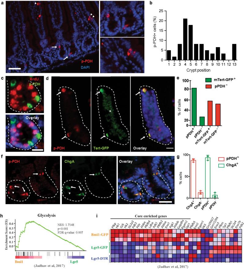 https://cdn.ncbi.nlm.nih.gov/pmc/blobs/be58/8938512/add8b659373b/41467_2022_29085_Fig2_HTML.jpg