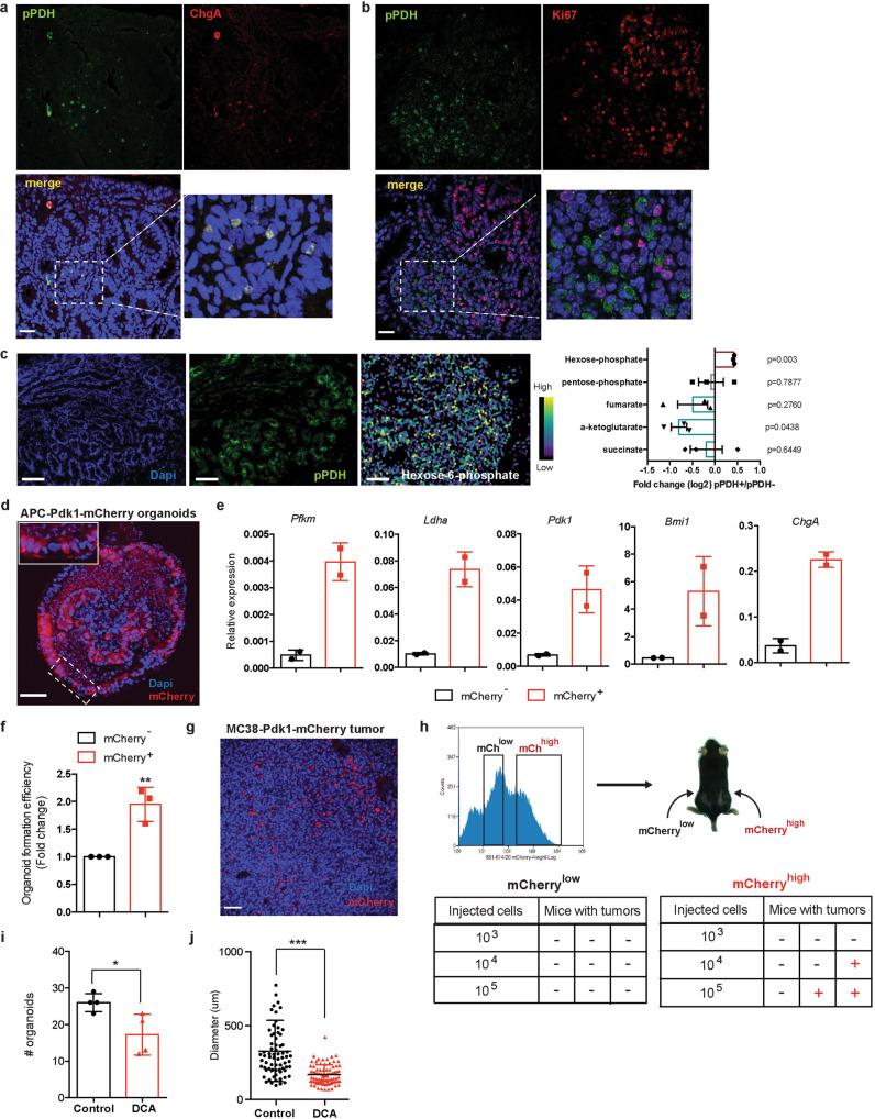 https://cdn.ncbi.nlm.nih.gov/pmc/blobs/be58/8938512/e4c53712e59b/41467_2022_29085_Fig4_HTML.jpg