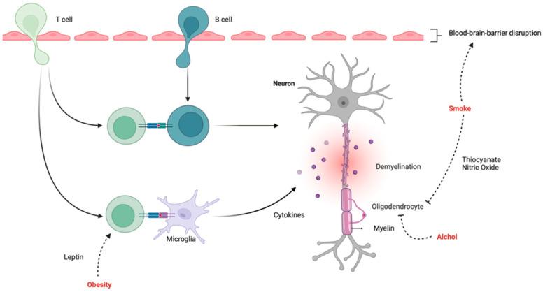 https://cdn.ncbi.nlm.nih.gov/pmc/blobs/be5a/10672087/197d9d3ed191/jpm-13-01524-g002.jpg