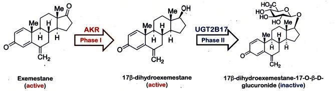 https://cdn.ncbi.nlm.nih.gov/pmc/blobs/be5f/4368747/3ceb6c137bdb/pone.0118553.g001.jpg