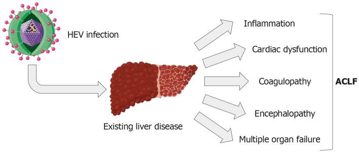 https://cdn.ncbi.nlm.nih.gov/pmc/blobs/be62/11229844/33d8998993cc/91580-g002.jpg
