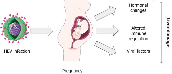 https://cdn.ncbi.nlm.nih.gov/pmc/blobs/be62/11229844/38ac1e4b044d/91580-g003.jpg