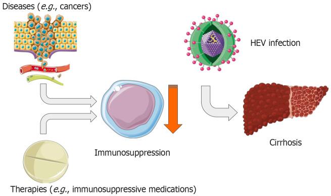 https://cdn.ncbi.nlm.nih.gov/pmc/blobs/be62/11229844/5da69381b1f6/91580-g004.jpg