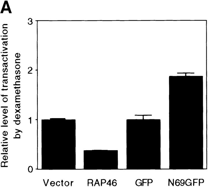 https://cdn.ncbi.nlm.nih.gov/pmc/blobs/be63/2169481/b15180f9b25f/JCB9812021.f6a.jpg