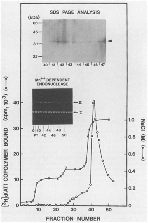 https://cdn.ncbi.nlm.nih.gov/pmc/blobs/be63/253392/ed575ddb2637/jvirol00086-0161-a.jpg