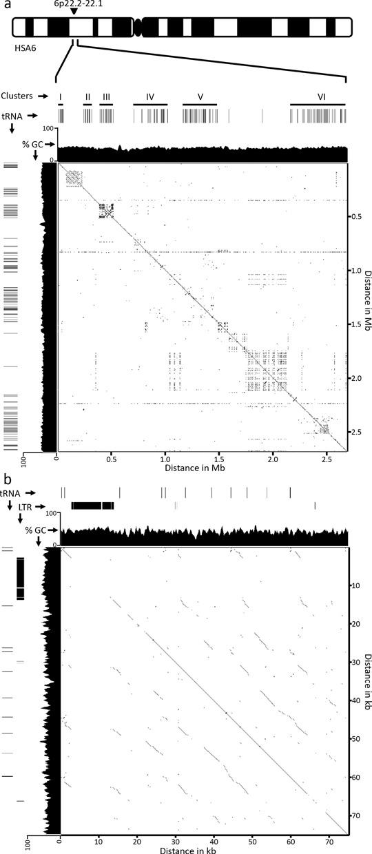 https://cdn.ncbi.nlm.nih.gov/pmc/blobs/be63/4041453/82a0a0825f0d/gku280fig2.jpg