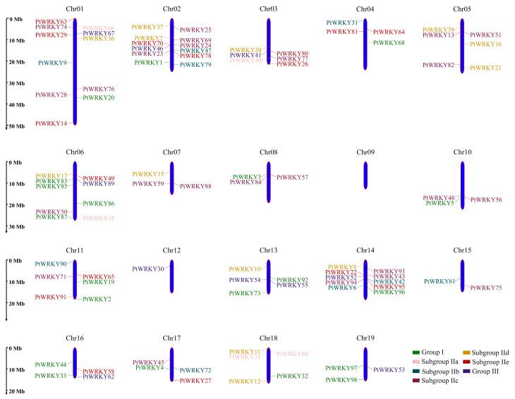 https://cdn.ncbi.nlm.nih.gov/pmc/blobs/be67/9777946/ff5ff9d2cd2b/genes-13-02324-g002.jpg