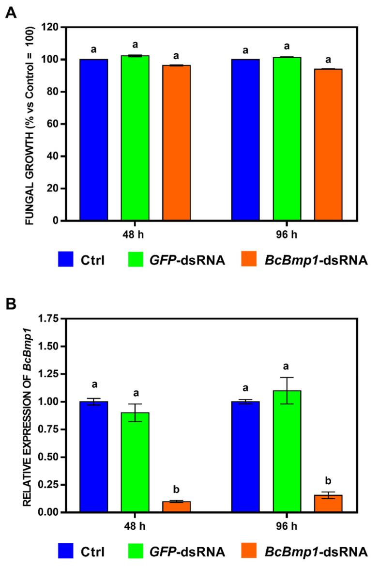 https://cdn.ncbi.nlm.nih.gov/pmc/blobs/be69/10003348/2930ad788523/ijms-24-04869-g001.jpg