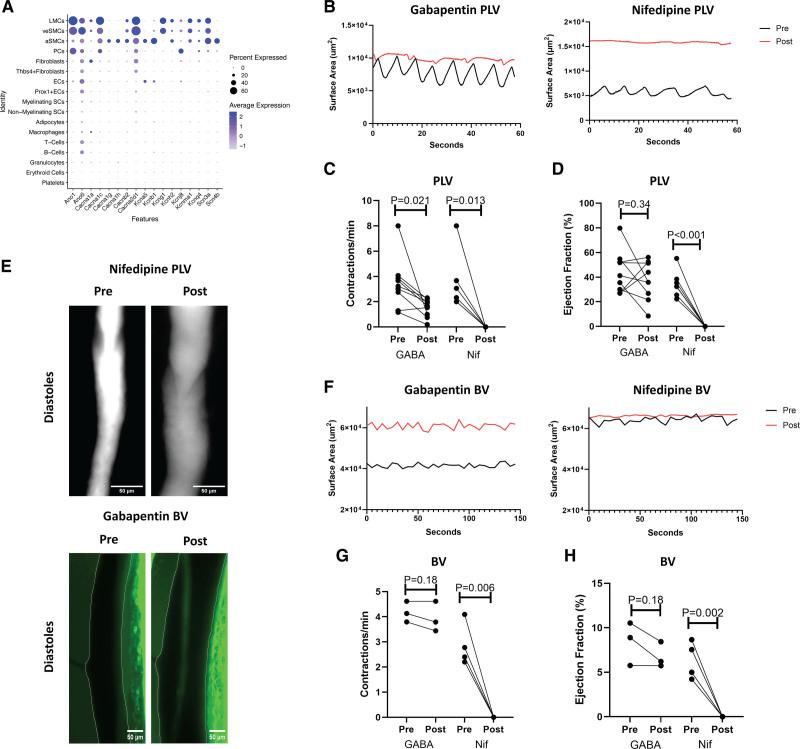 https://cdn.ncbi.nlm.nih.gov/pmc/blobs/be6b/12188807/c9a5c76a8b93/atv-45-1207-g004.jpg