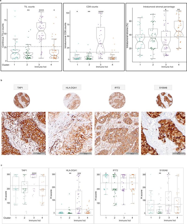 https://cdn.ncbi.nlm.nih.gov/pmc/blobs/be6b/8850446/14dbb5411e50/41467_2022_28524_Fig4_HTML.jpg