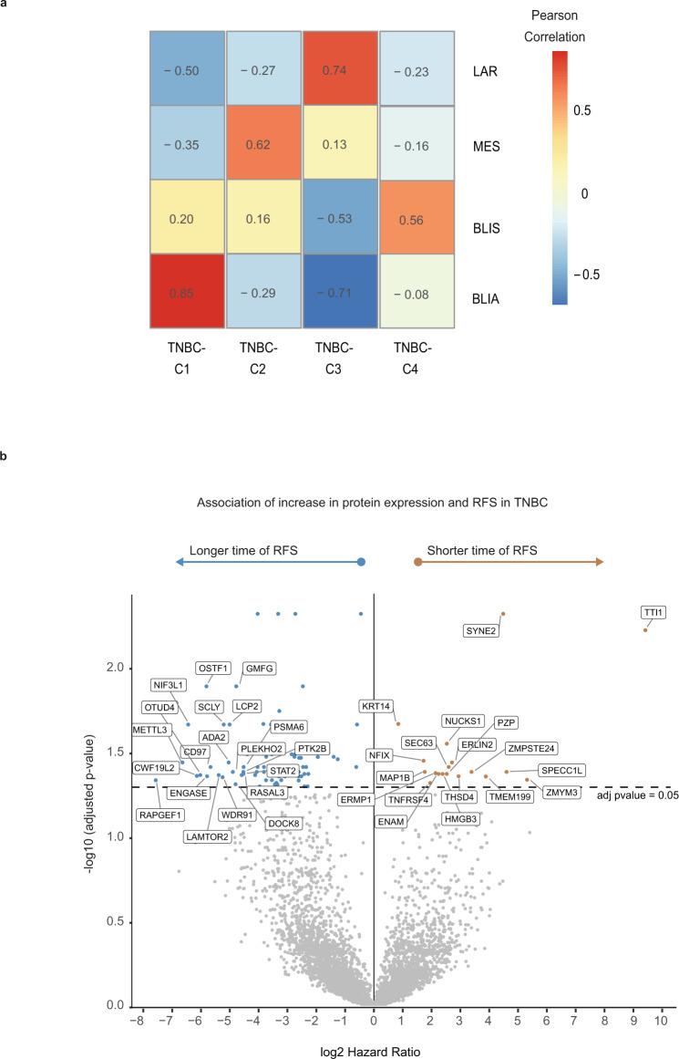 https://cdn.ncbi.nlm.nih.gov/pmc/blobs/be6b/8850446/1c8a61416fb8/41467_2022_28524_Fig6_HTML.jpg