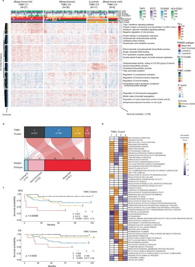 https://cdn.ncbi.nlm.nih.gov/pmc/blobs/be6b/8850446/4489d51362f0/41467_2022_28524_Fig5_HTML.jpg