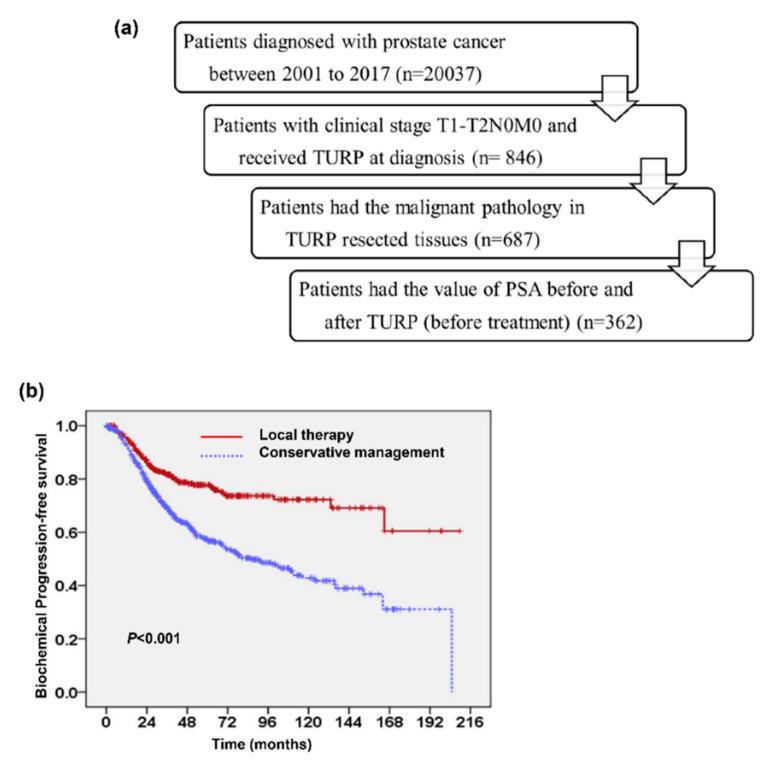 https://cdn.ncbi.nlm.nih.gov/pmc/blobs/be6c/7796215/e49583127194/cancers-13-00074-g001.jpg