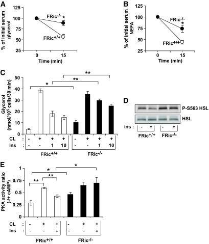https://cdn.ncbi.nlm.nih.gov/pmc/blobs/be6d/2874700/2f22d0e92fd6/zdb0061061540003.jpg