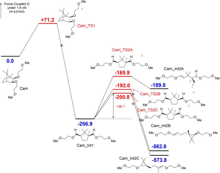 https://cdn.ncbi.nlm.nih.gov/pmc/blobs/be6e/12326537/32548a863bb7/d5sc00151j-s1.jpg