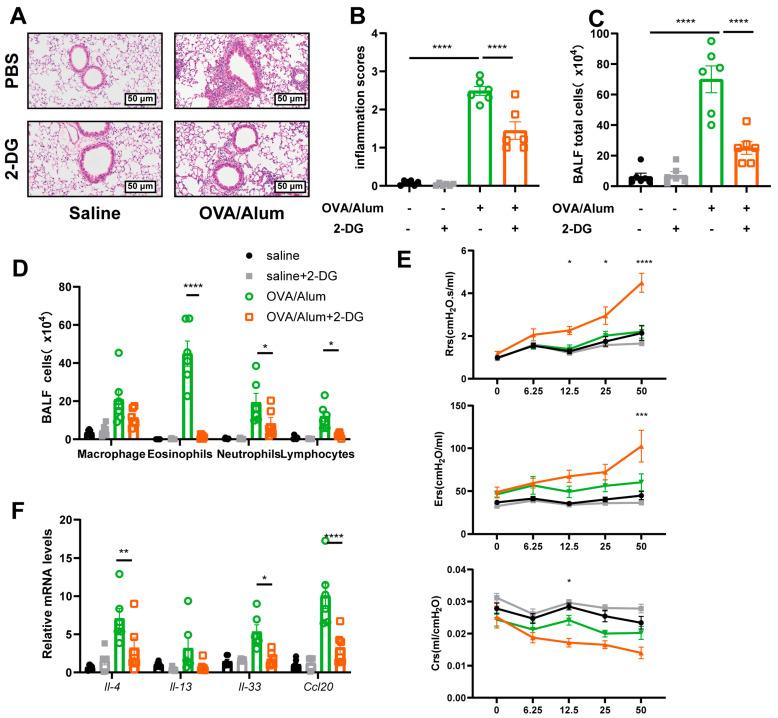 https://cdn.ncbi.nlm.nih.gov/pmc/blobs/be6f/12248590/32553601d3b3/cells-14-01004-g008.jpg