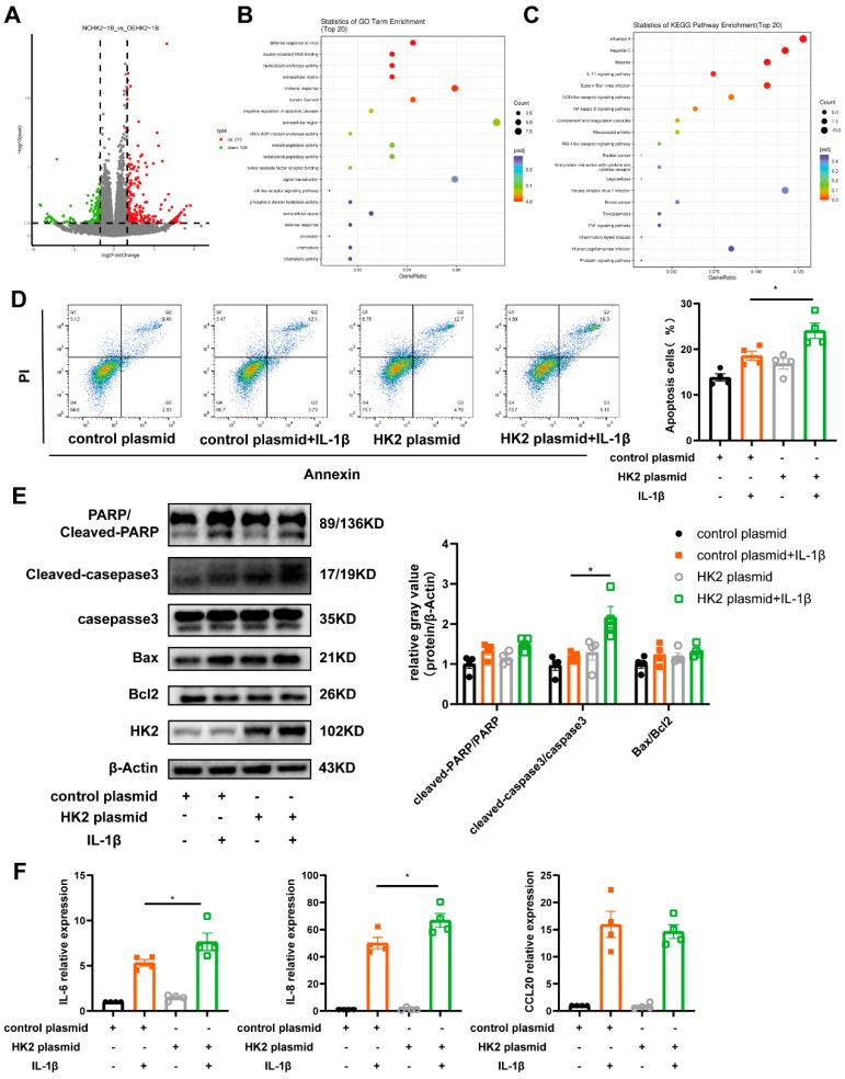 https://cdn.ncbi.nlm.nih.gov/pmc/blobs/be6f/12248590/8b6c127c54da/cells-14-01004-g004.jpg