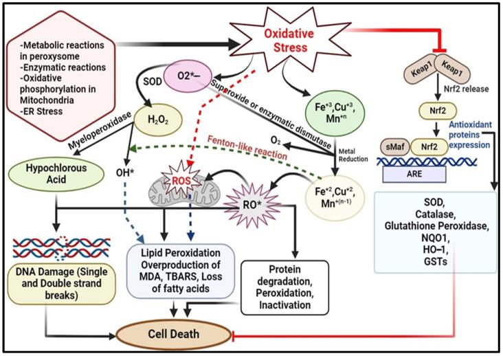 https://cdn.ncbi.nlm.nih.gov/pmc/blobs/be70/11357401/478815ced97d/pharmaceuticals-17-00975-g002.jpg